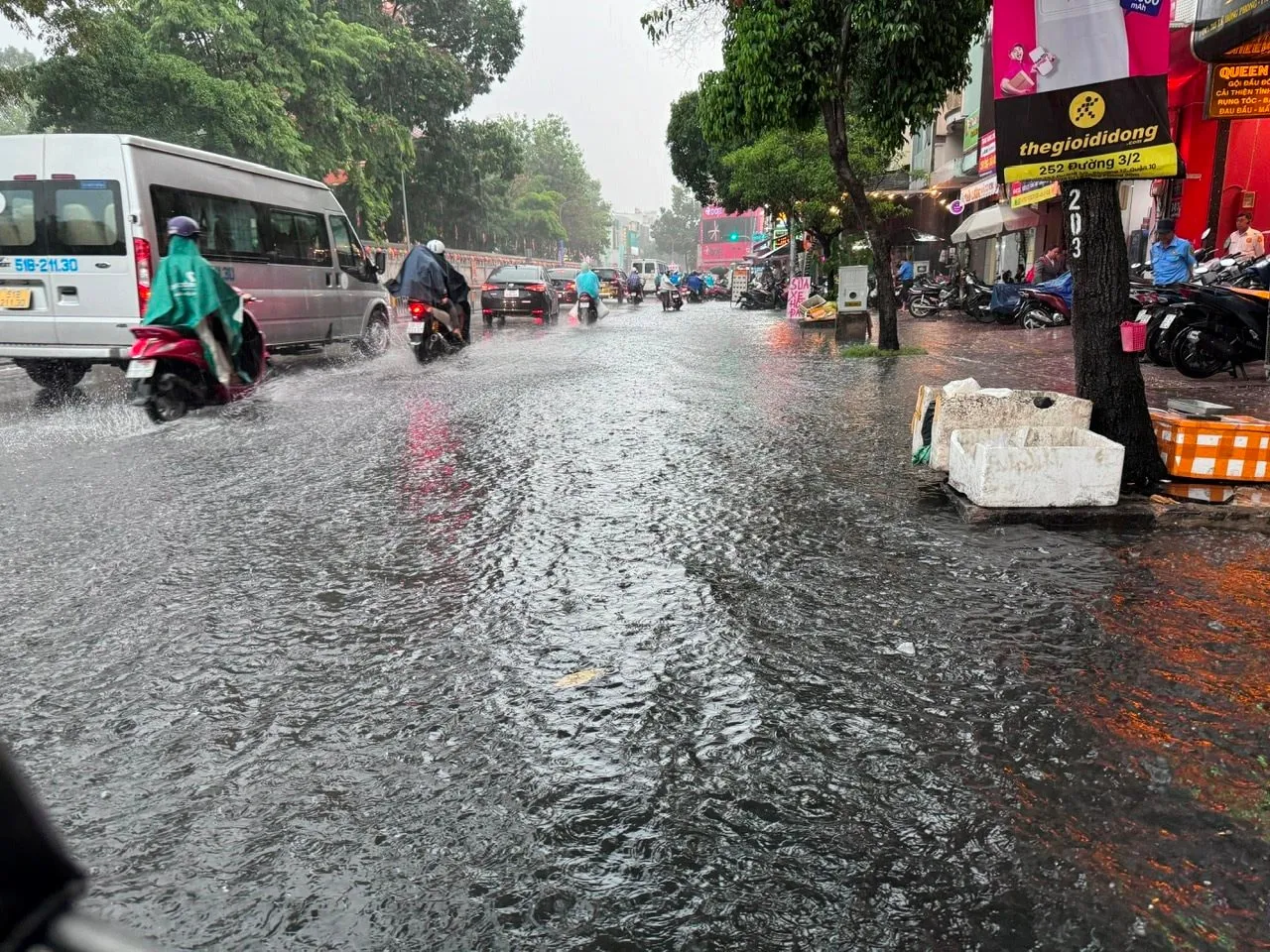 z5788555711090_1100794013fc401b656aea612b388c0e