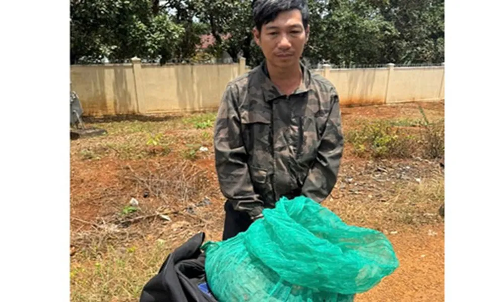 Mang tê tê Java đi tiêu thụ, người đàn ông bị khởi tố hình s