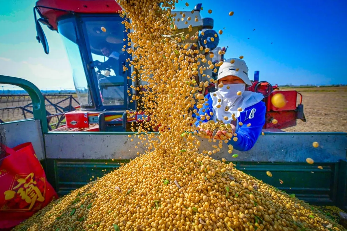 63a12944-861e-44dd-b53e-97187e617d90_eeaf6ac0