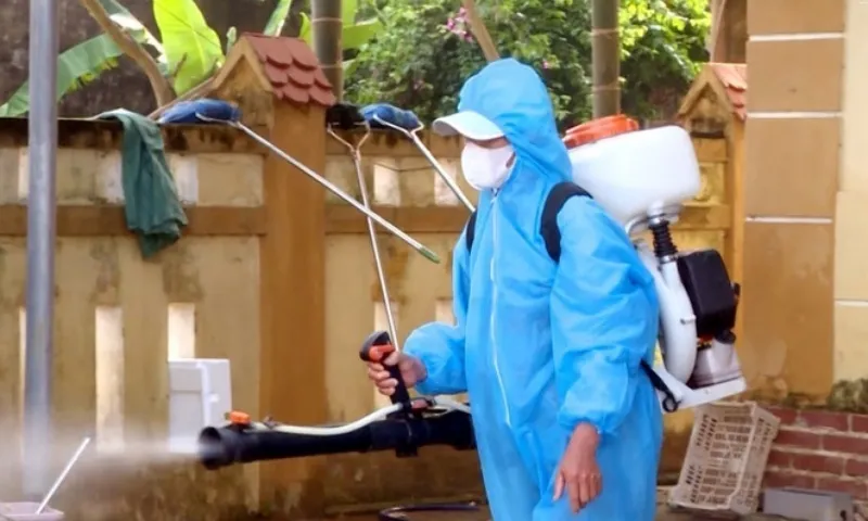 Nguy cơ Chikungunya xâm nhập Việt Nam