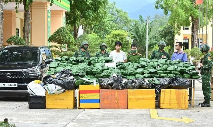 Hà Tĩnh: Bắt thanh niên tàng trữ 240kg cần sa khô