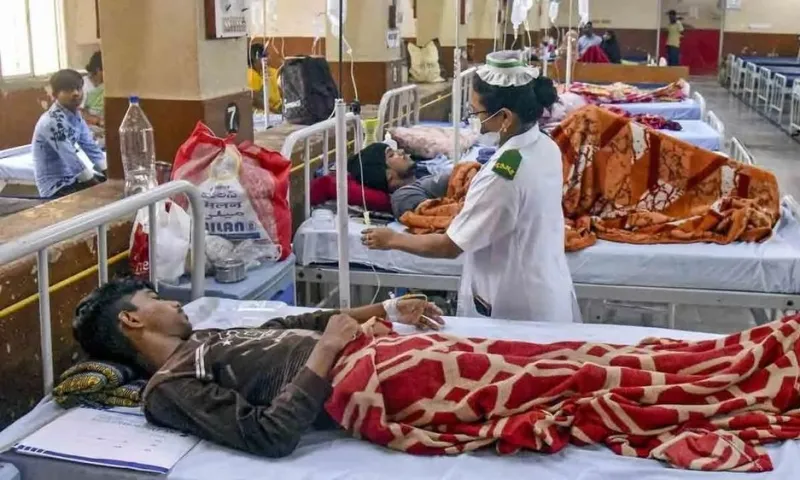 Chikungunya lan nhanh, nhiều khu vực báo động đỏ 