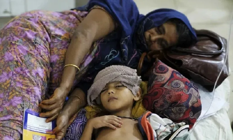 Khủng hoảng sốt xuất huyết lan rộng ở Thái Bình Dương và Bangladesh 