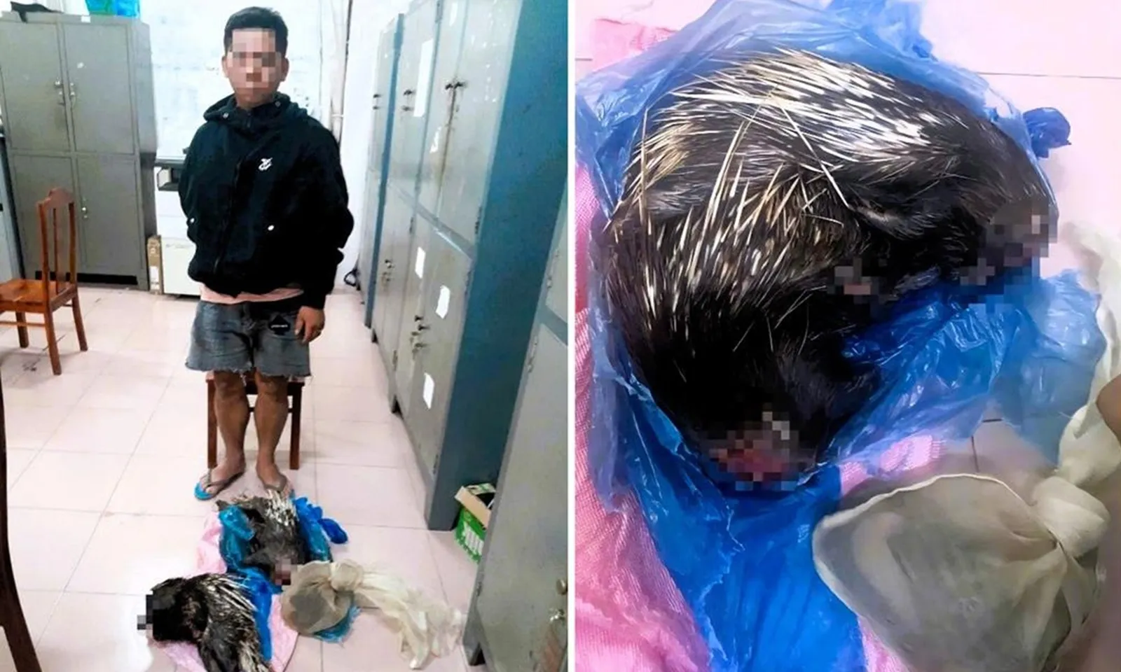 Tạm giữ đối tượng vận chuyển trái phép cầy vòi hương