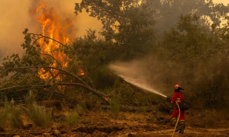Nắng nóng kỷ lục thổi bùng cháy rừng dữ dội khắp châu Âu