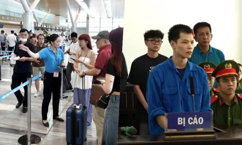 Điểm tin sáng 14/8: 5 hãng hàng không chuyển sang ga T3 | Mua bán trái phép hơn 53 triệu DLCN 