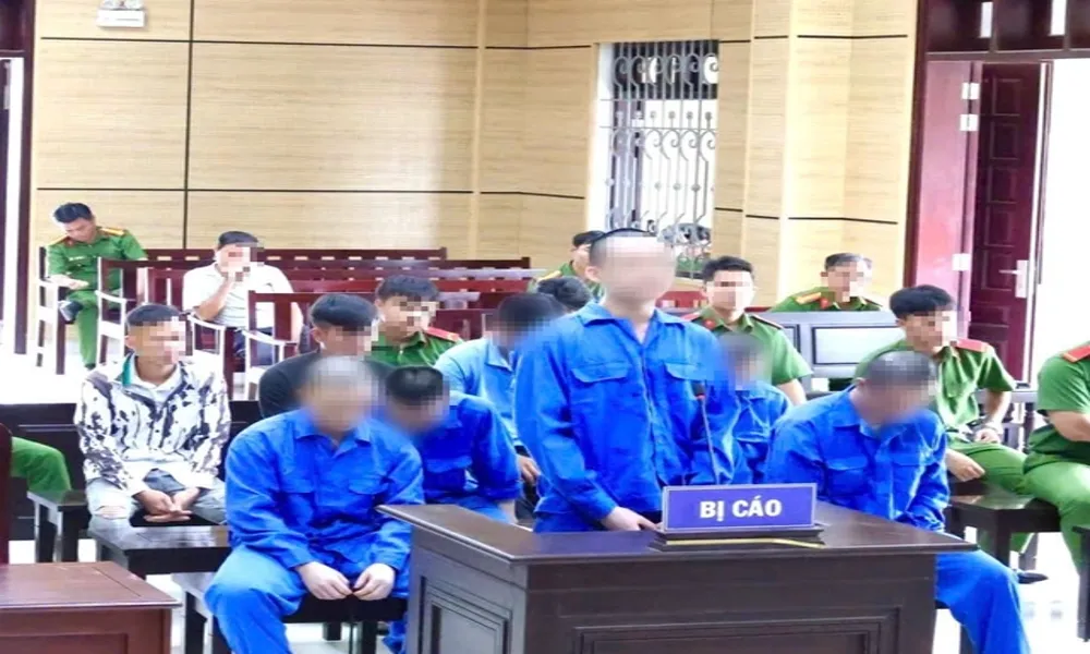 Đá gà ăn tiền dẫn đến truy sát, nhóm 9 người hầu tòa