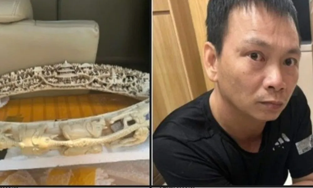 528782351_30753929860921397_2257683970425717233_n