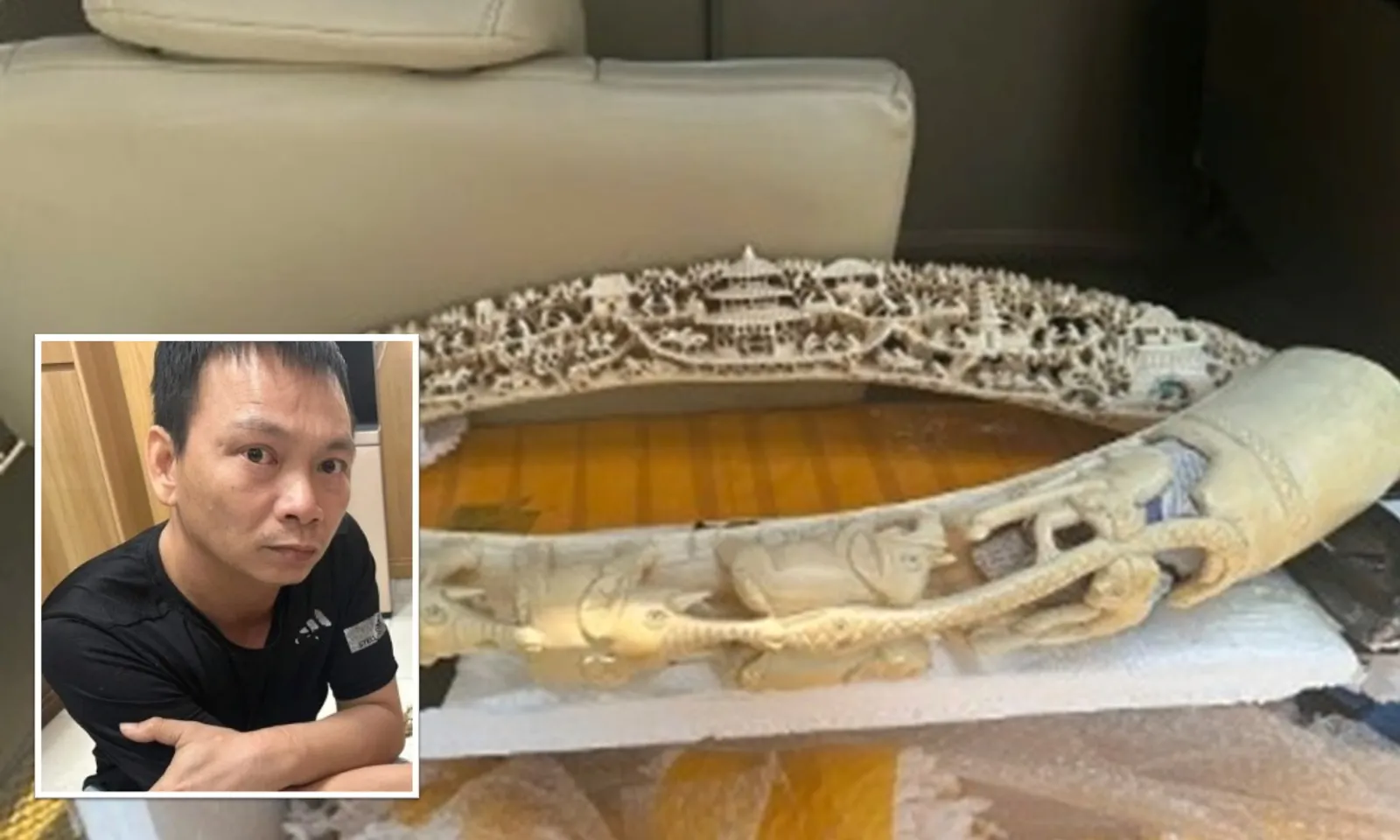 Bắt giữ đối tượng mua bán ngà voi