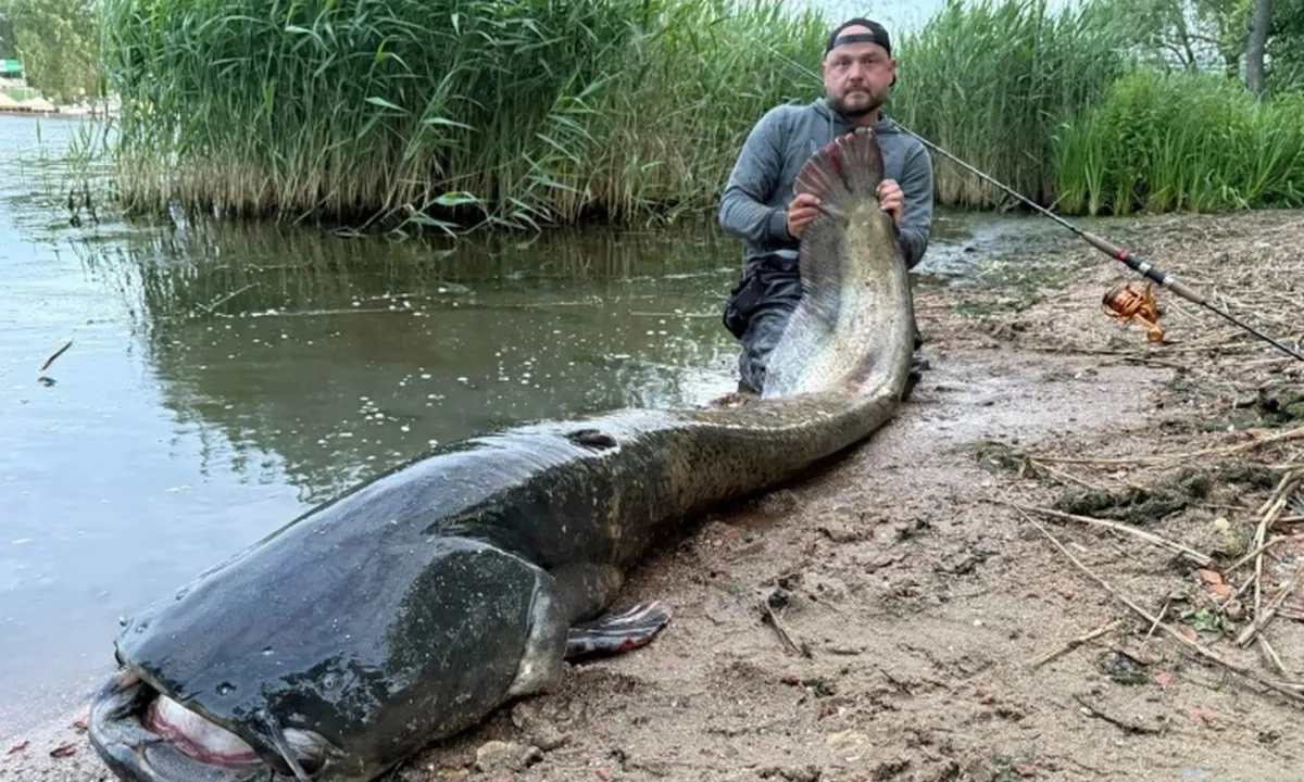 Cần thủ hạ gục “quái vật” dài 2,7m sau gần 1 giờ vật lộn