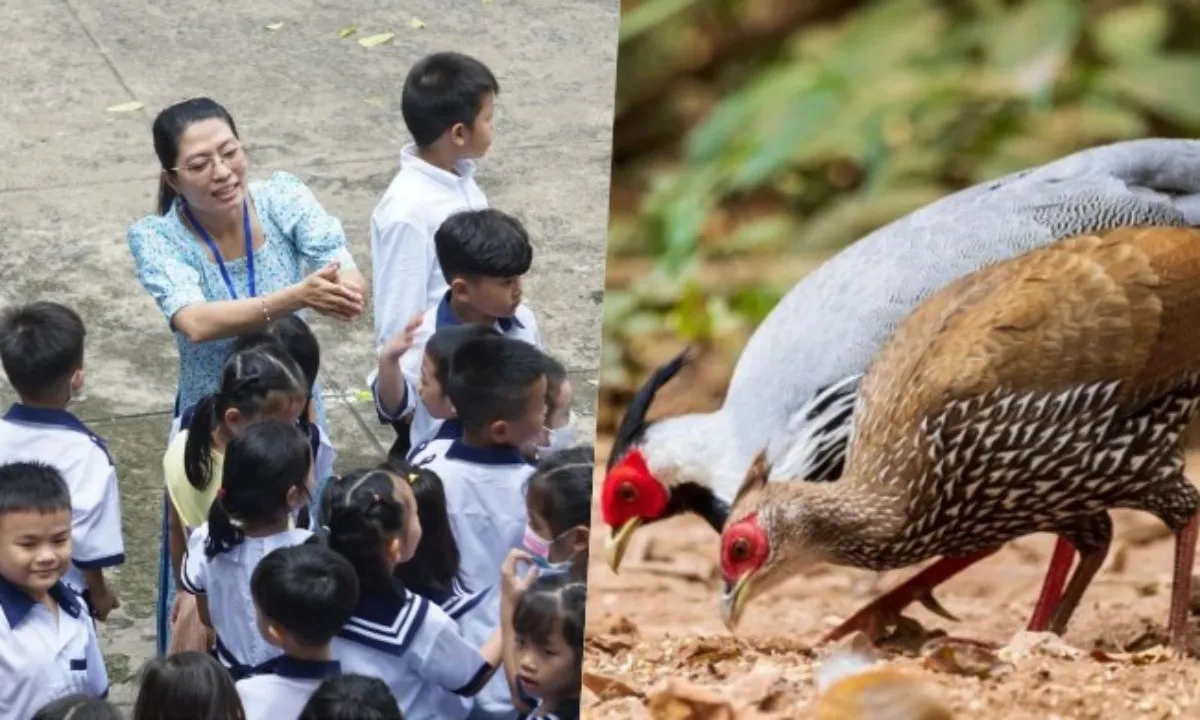 Điểm tin sáng 15/8: TPHCM tuyển hơn 6.000 giáo viên | Quy định nuôi và bán gà lôi trắng