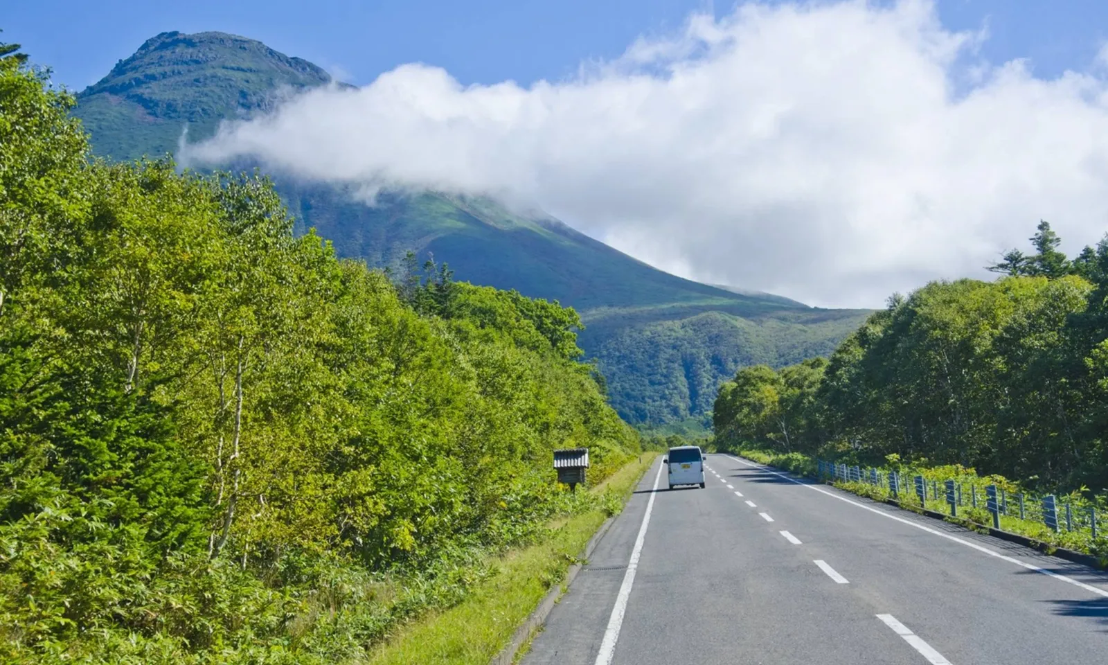 Người đi bộ bị gấu tấn công và tha vào rừng mất tích