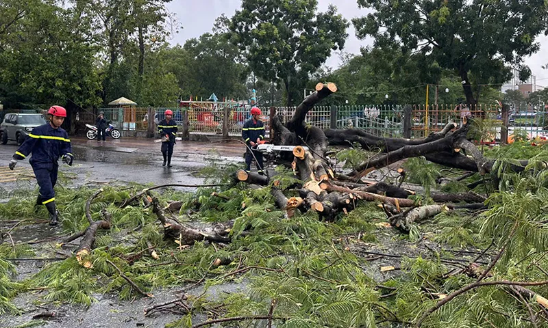 Mưa lớn, cây đổ đè trúng làm cặp vợ chồng đi xe máy bị thương