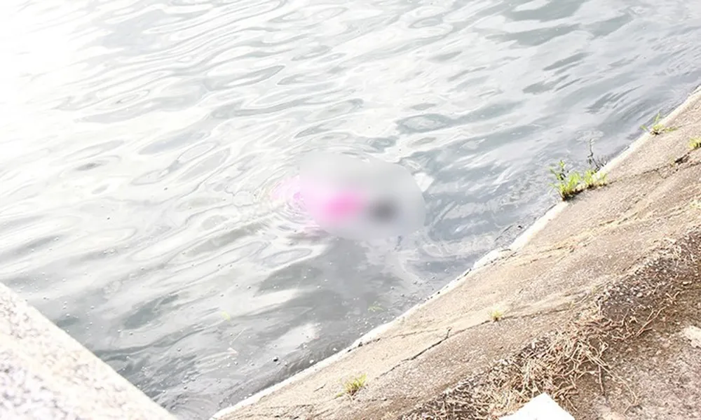 Phát hiện bé gái 12 tuổi tử vong bất thường tại hồ ở phường Bắc Giang