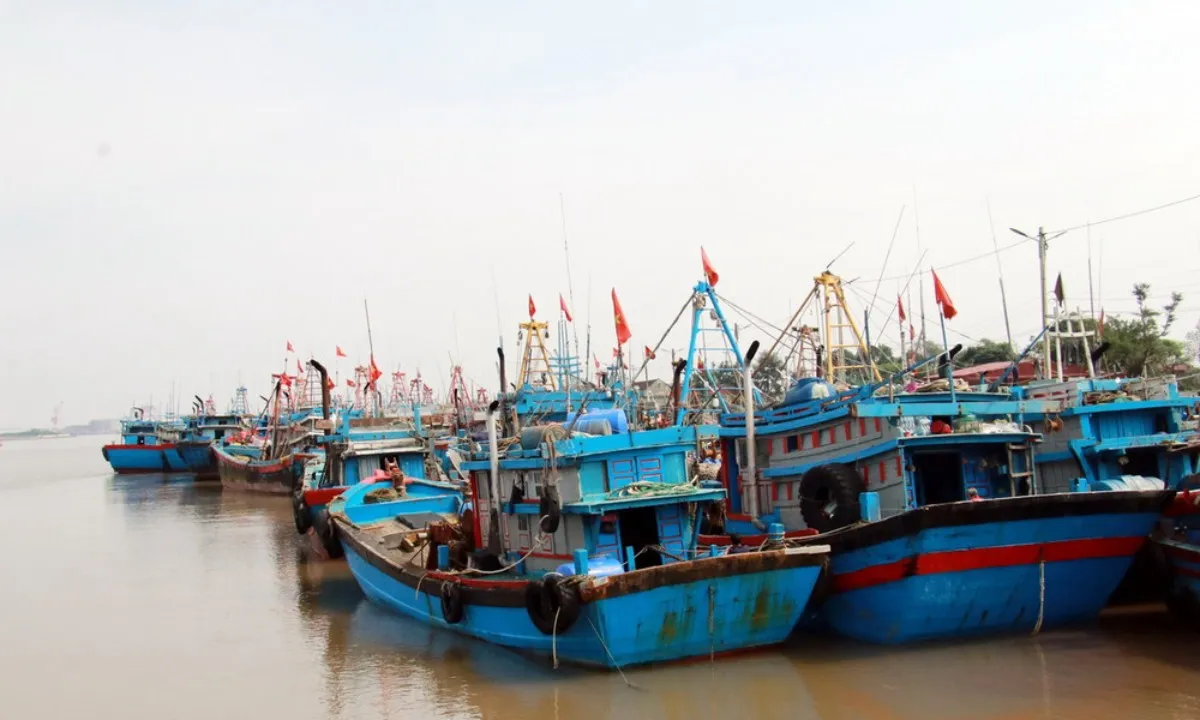 Ứng phó áp thấp nhiệt đới, Quảng Ninh cấm biển từ 13h ngày 18/8