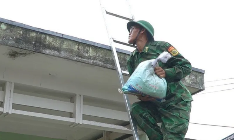 Bo doi