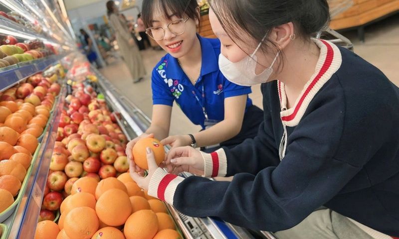 Đa dạng hóa sản phẩm: Saigon Co.op nhập khẩu trực tiếp hơn 25 tấn cam tươi từ Úc