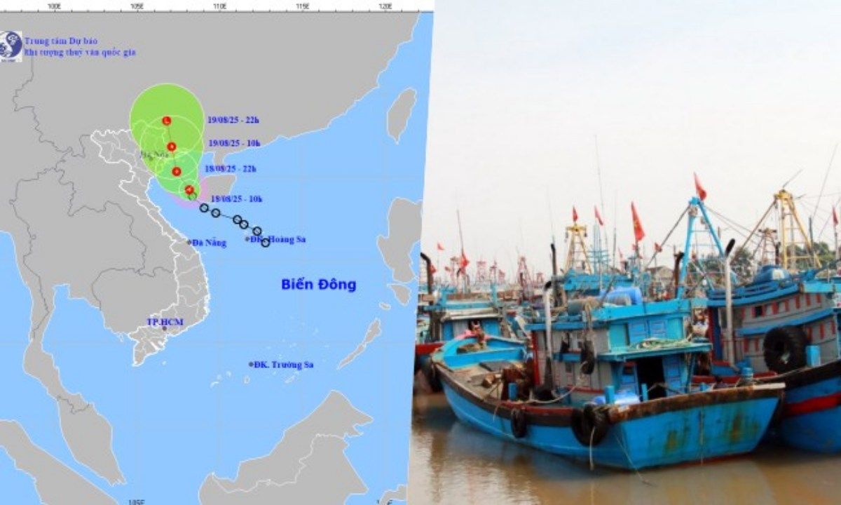 Điểm tin chiều 18/8: Áp thấp nhiệt đới giật cấp 9 | Quảng Ninh cấm biển