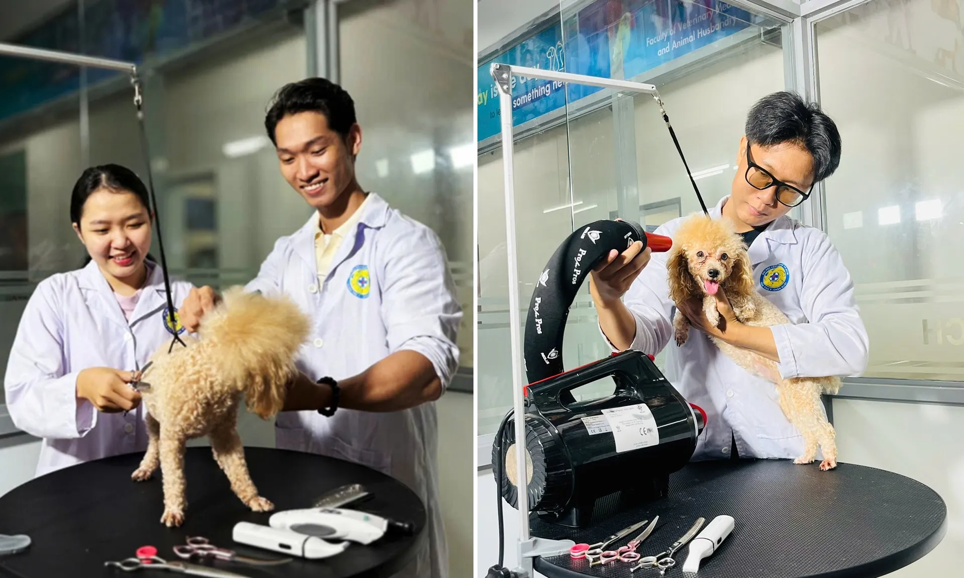 thu-y-chan-nuoi-180825-1