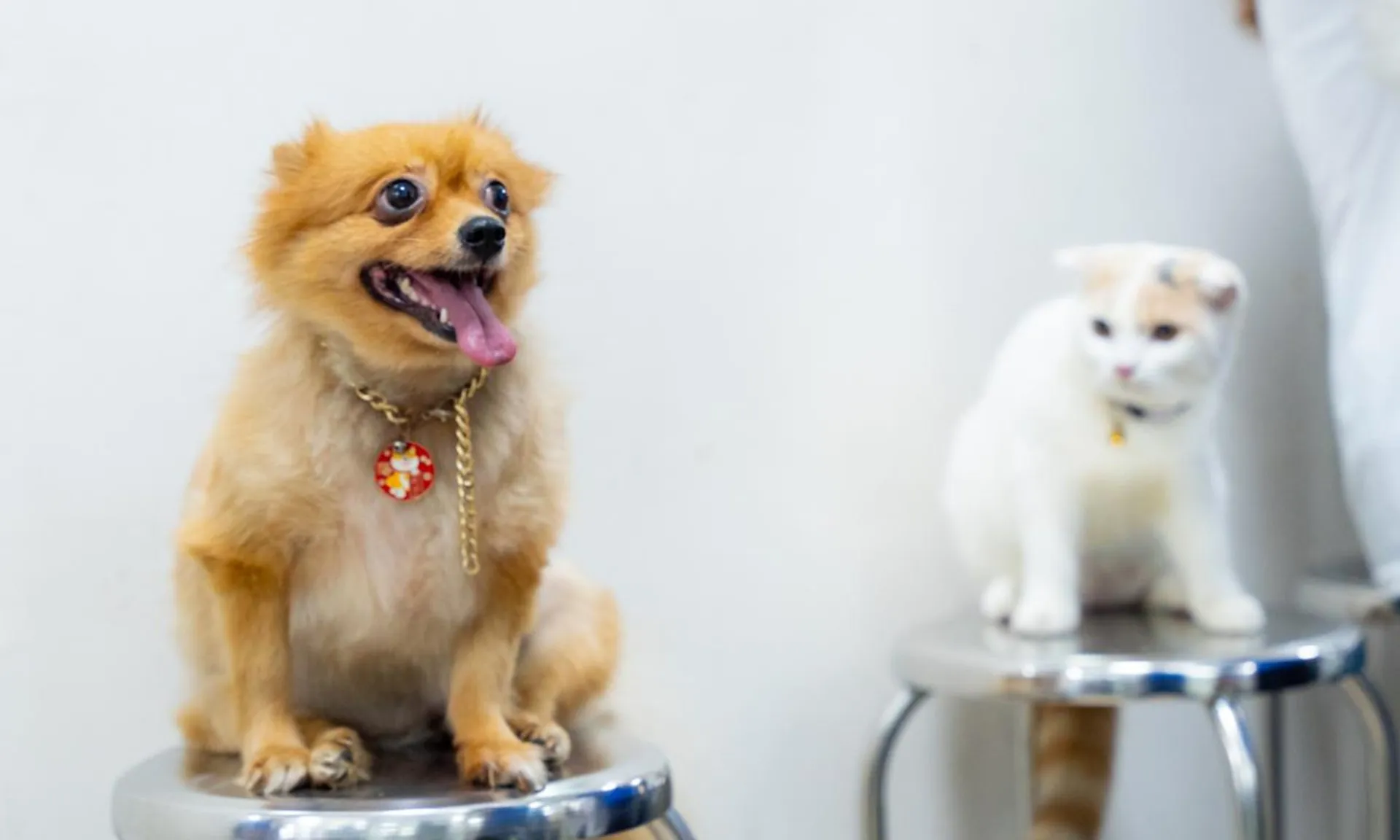 thu-y-chan-nuoi-180825