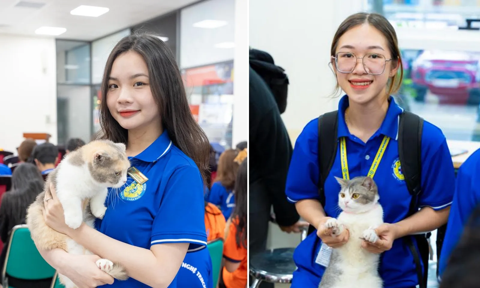 Ngành chăm sóc undefined thẩm mỹ thú cưng: Thu nhập có thể tới 40 triệu đồng/tháng