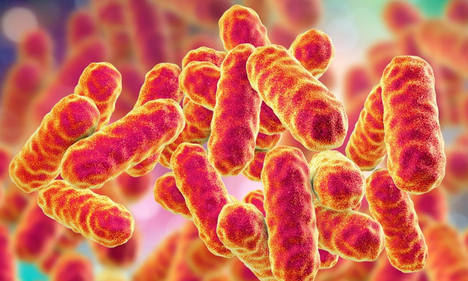 Hai trẻ sinh non tử vong do nhiễm trùng bắt nguồn từ xà phòng rửa chén của bệnh viện