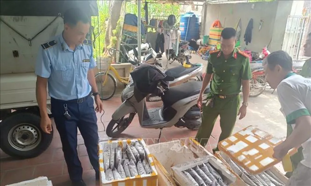 Bắt quả tang hộ kinh doanh bán nhộng ong, nhái, bọ xít bốc mùi hôi thối