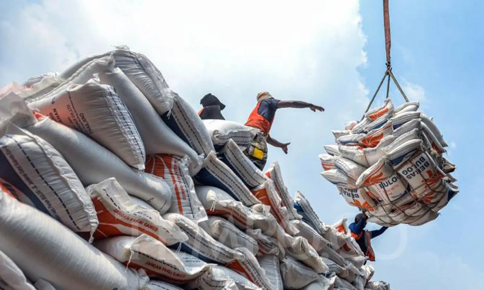 Thủ tướng yêu cầu nghiên cứu giải pháp để gạo Việt giữ vị trí xuất khẩu thứ hai thế giới