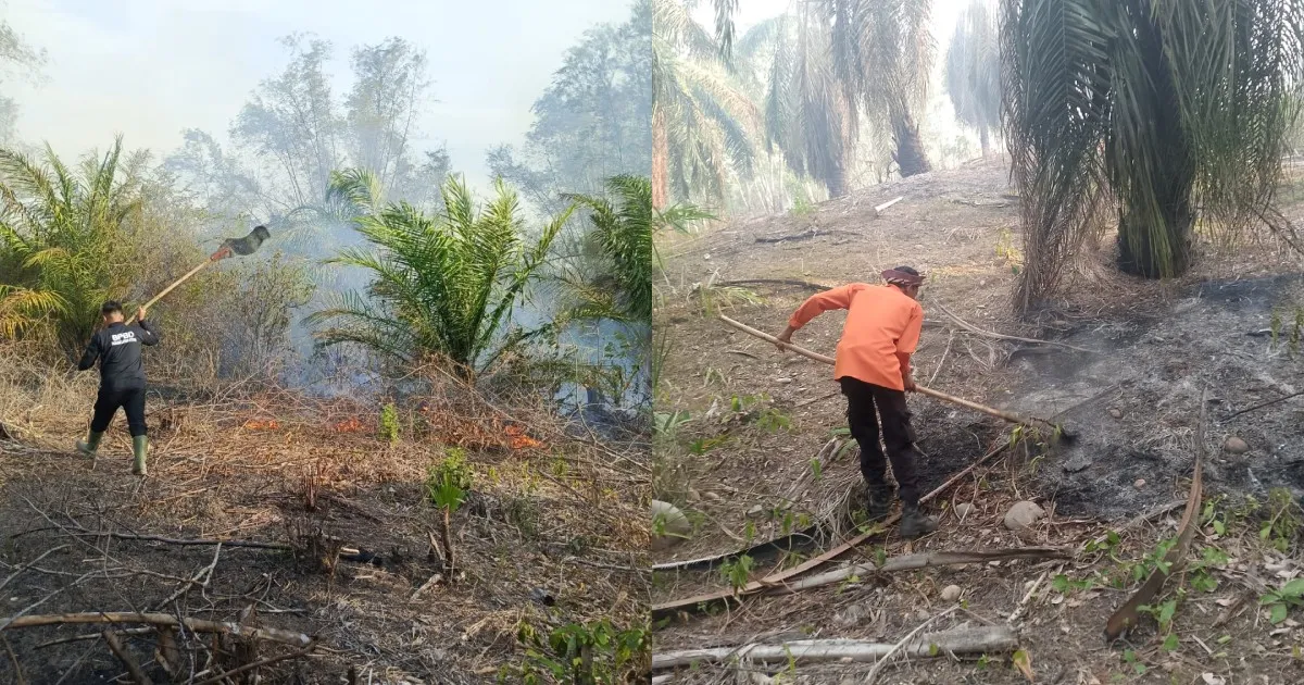 0819_indonesia_20fires