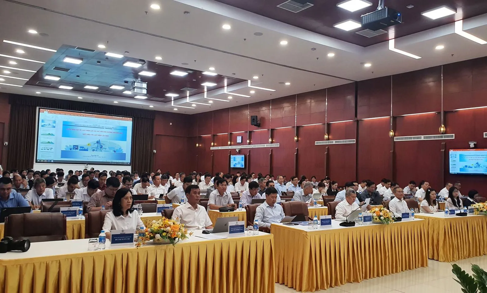 Tập đoàn Điện lực Việt Nam tổ chức tập huấn Luật Điện lực 2024 tại khu vực miền Nam