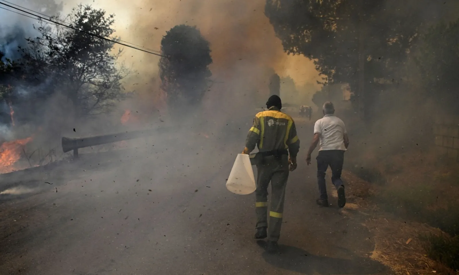 Cháy rừng ở Tây Ban Nha thiêu rụi kỷ lục gần 350.000 ha