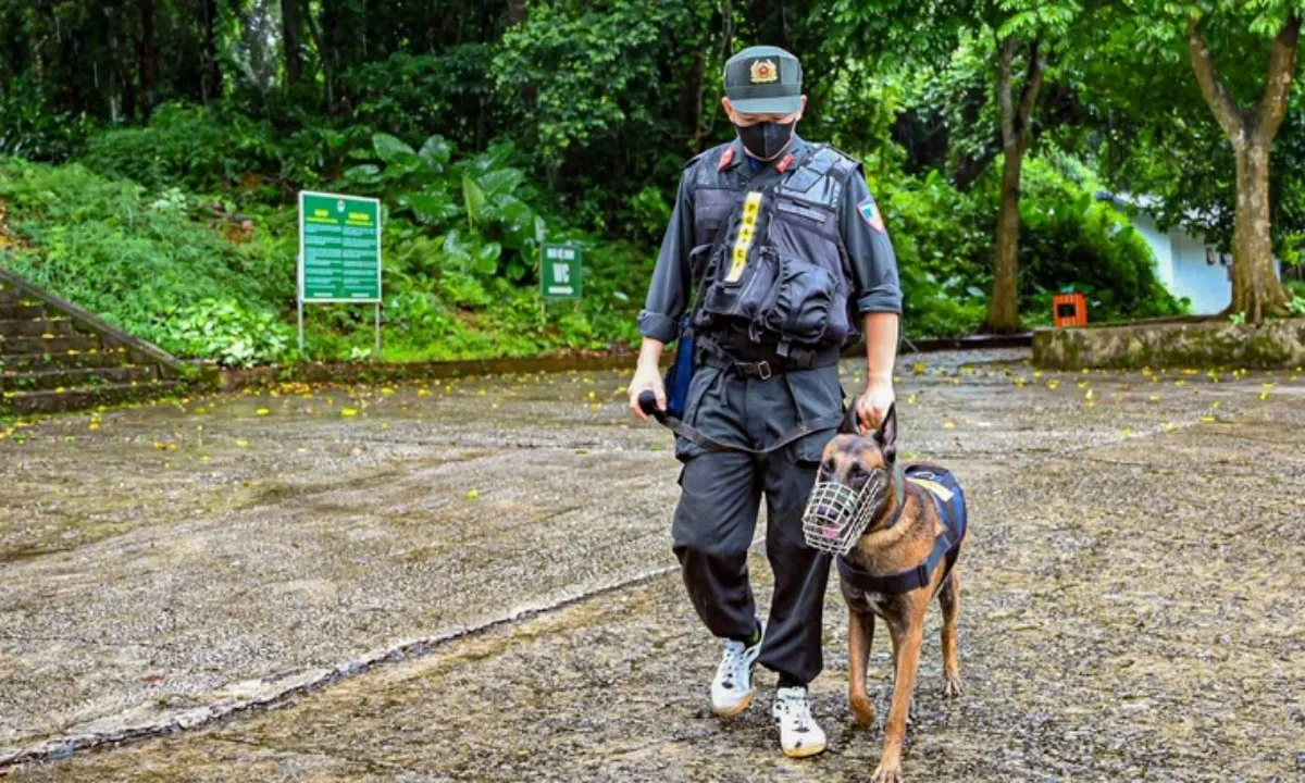 Tìm thấy thi thể du khách sau 5 ngày mất tích tại Vườn quốc gia Cúc Phương