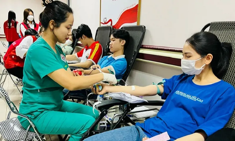 Hiến máu nhân đạo 2