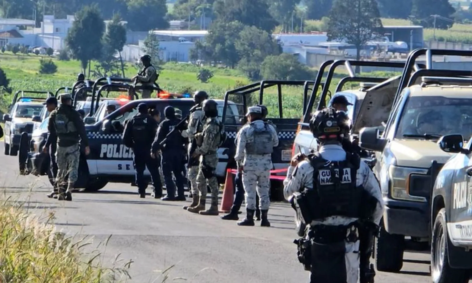 Phát hiện 6 đầu người bị cắt rời ở miền trung Mexico