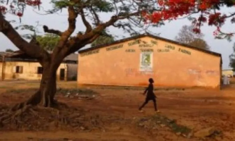 Nigeria: Xả súng đẫm máu tại đền thờ Hồi giáo, 27 người thiệt mạng