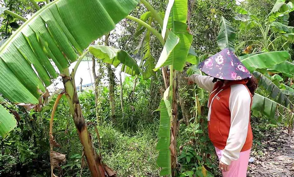 Tây Ninh: Một thi thể được phát hiện trên sông nghi liên quan vụ xuồng gỗ chìm trôi dạt vào bờ