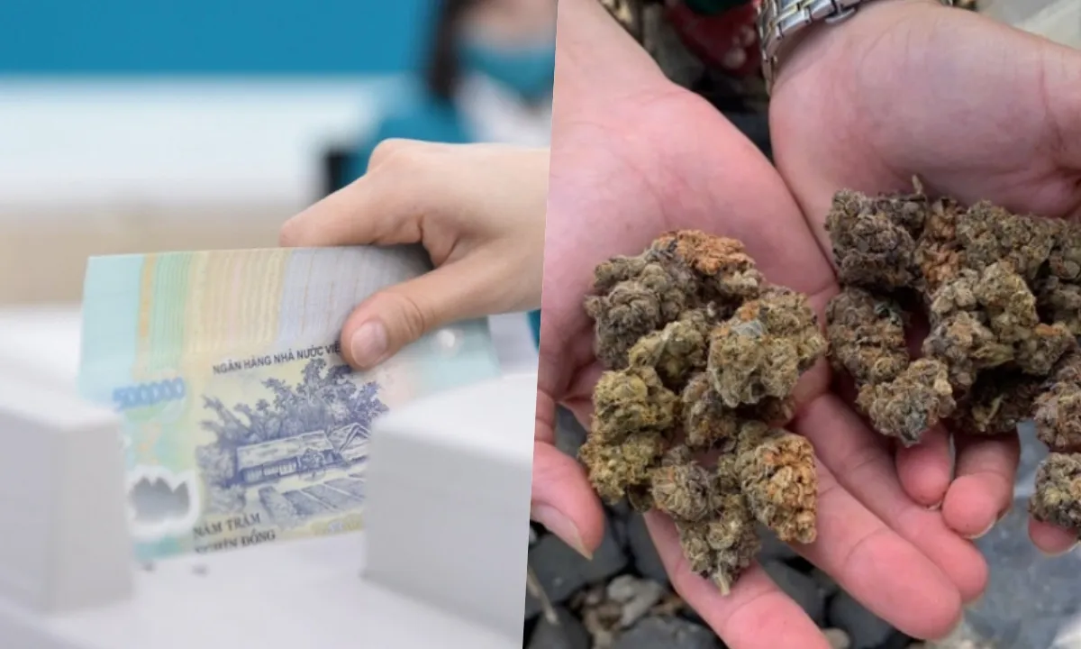 Điểm tin sáng 21/8: Nhiều hộ kinh doanh bị truy thu thuế | Hai chị em nhập viện vì ăn kẹo