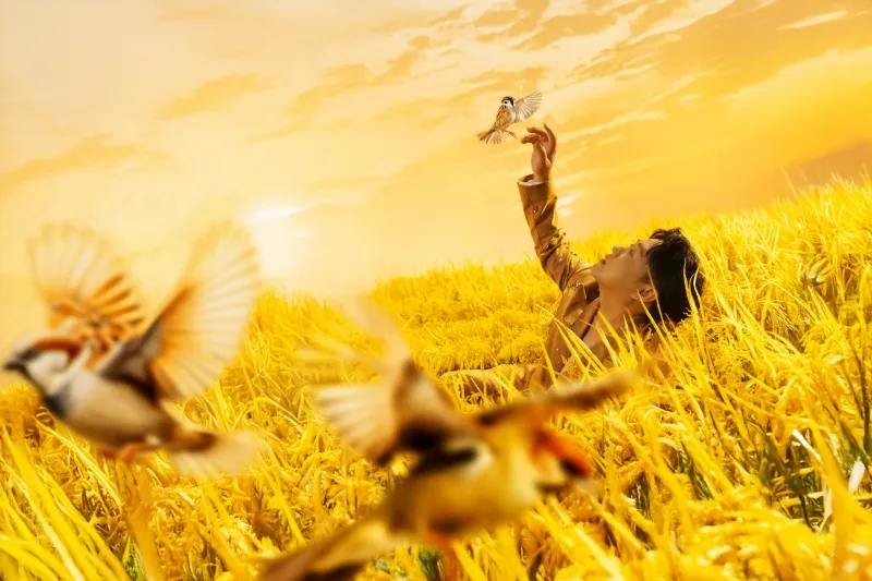 trung-quan-gui-gam-niem-tu-hao-dan-toc-qua-mv-mung-80-nam-quoc-khanh 20250821-135431-10