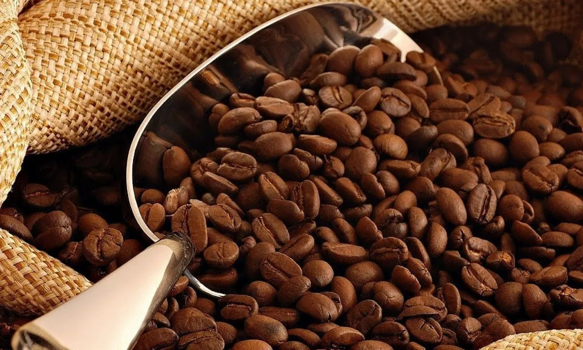 Xuất khẩu cà phê phá vỡ mọi kỷ lục, đạt 6 tỷ USD sau 7 tháng