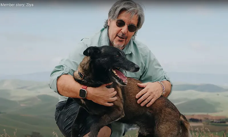 Chú chó chiến đấu với bò tót giành giải thưởng danh giá Hambone năm 2025