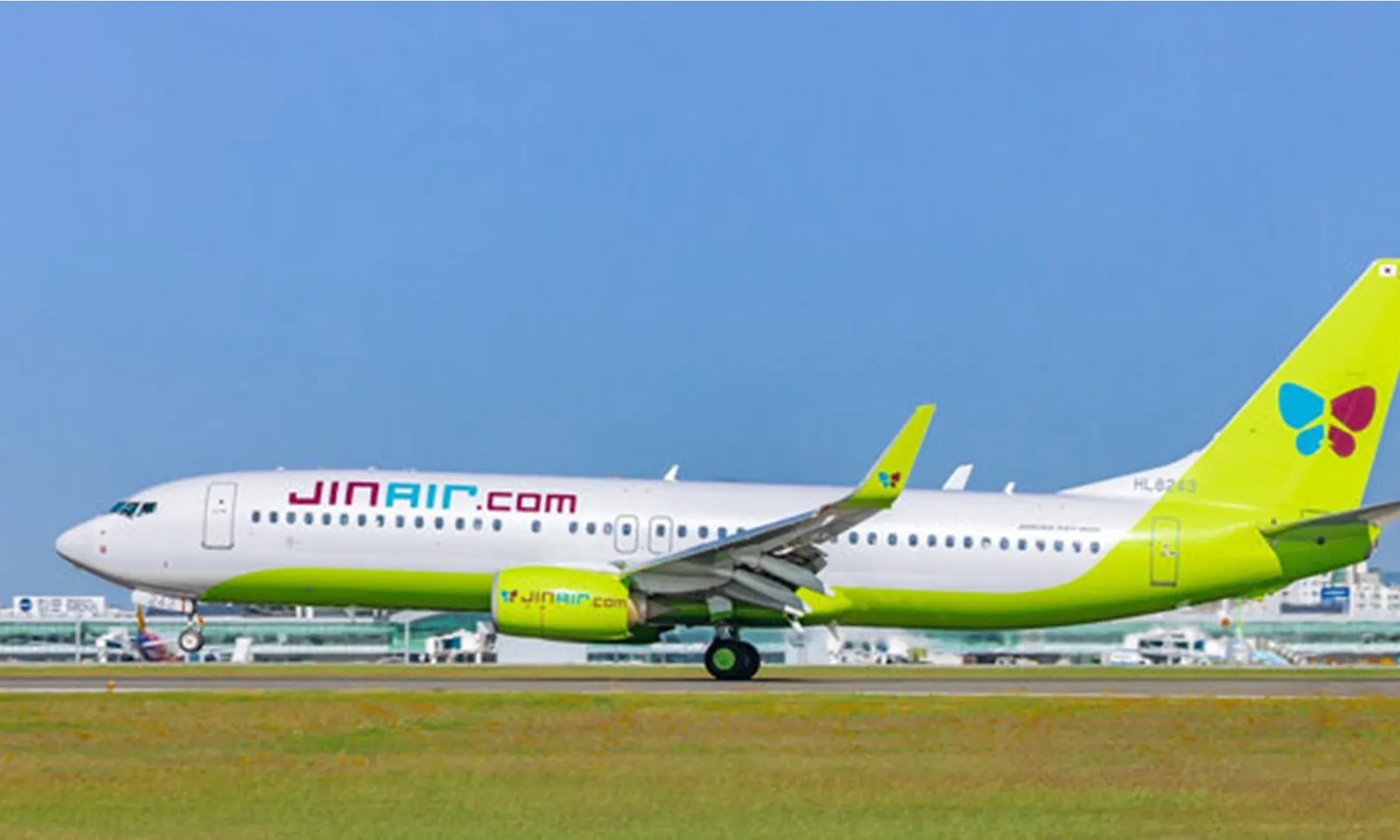 Chuyến bay của Jin Air đến Việt Nam phải quay trở lại vì va phải một đàn chim