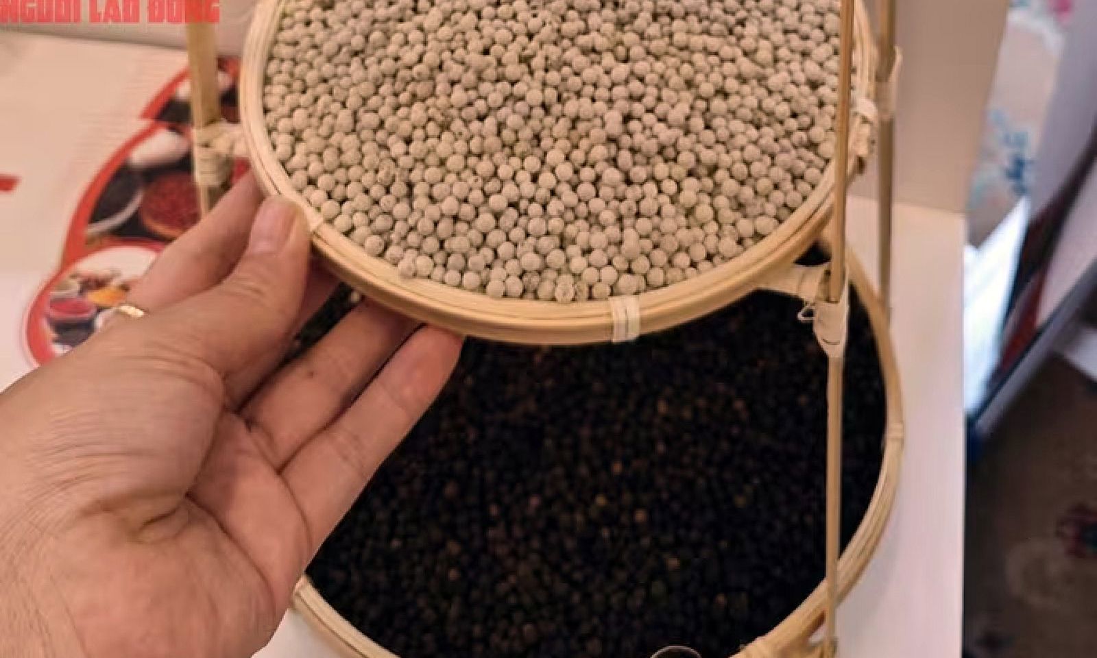 Tiêu Đắk Lắk và nhiều địa phương tăng mạnh
