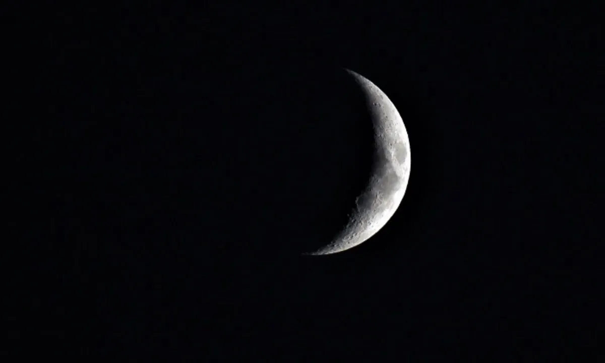 trang-den-17558280666611412425138