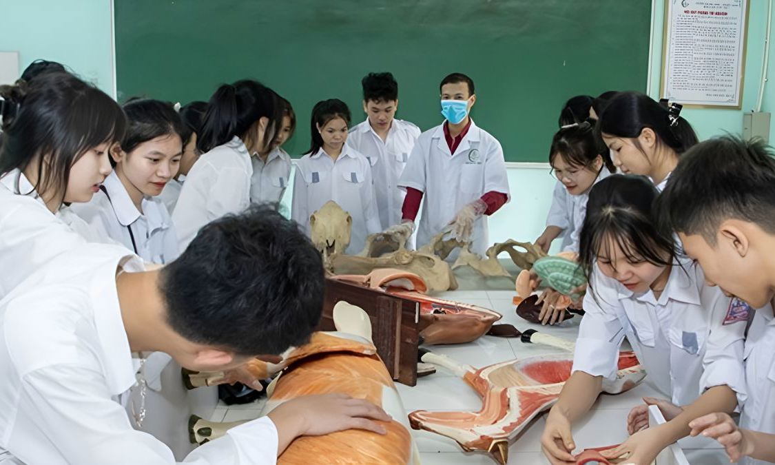 Điểm chuẩn trường Đại học Nông Lâm TPHCM dao động từ 16-24,9