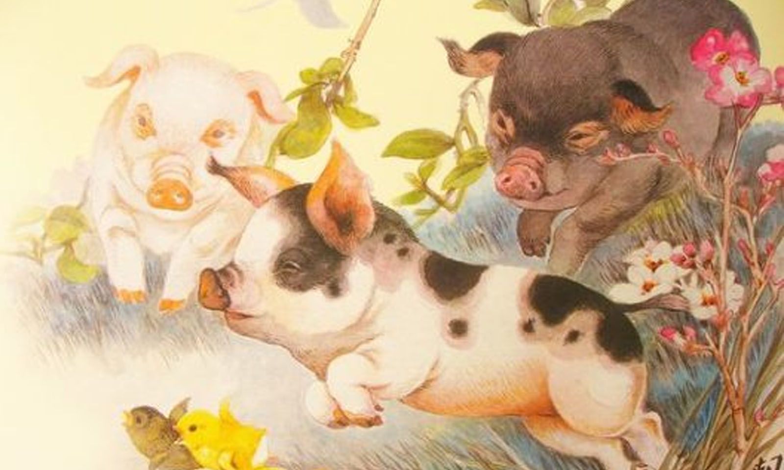 Tử vi cuối tuần (23 - 24/8): 3 tuổi có nhân duyên “nở rộ”, tình cảm thăng hoa