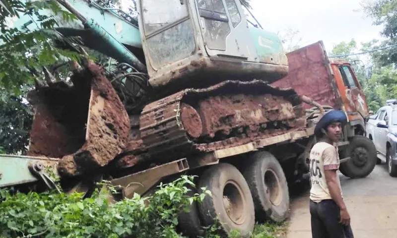 Gia Lai: Xe tải mất thắng tông chết 18 con bò, tài xế bồi thường hơn 300 triệu đồng