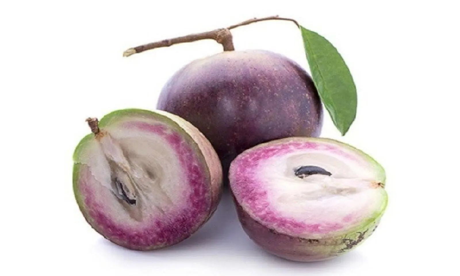 Những lợi ích của quả vú sữa đối với sức khỏe