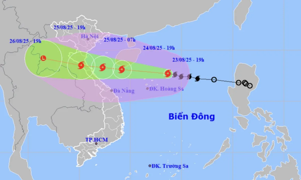 bao-so-5-kajiki-4-17559549848441807160100