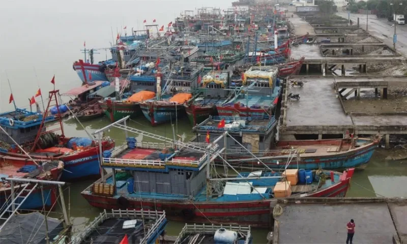 Chủ động ứng phó khẩn cấp với bão số 5 (Kajiki) 