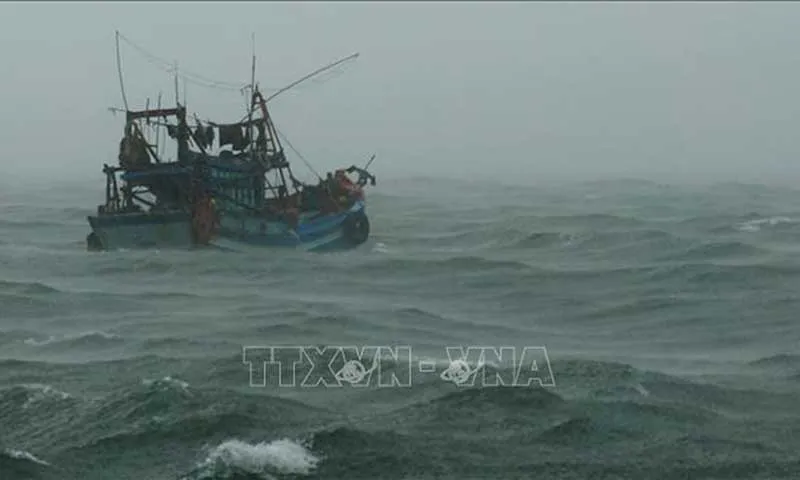 Bộ Nông nghiệp và Môi trường: nhanh chóng đưa 276 tàu thuyền về nơi an toàn